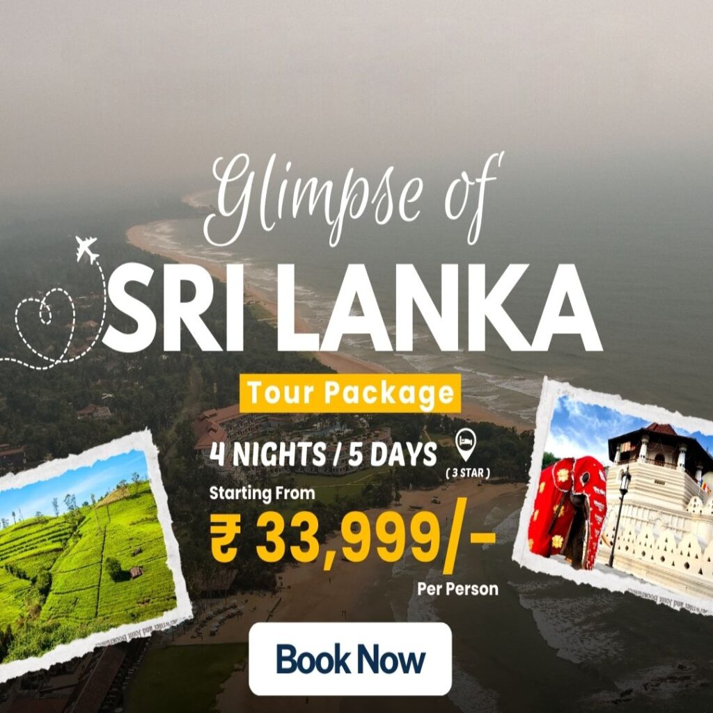 glimpse of sri lanka superb travels moradabad