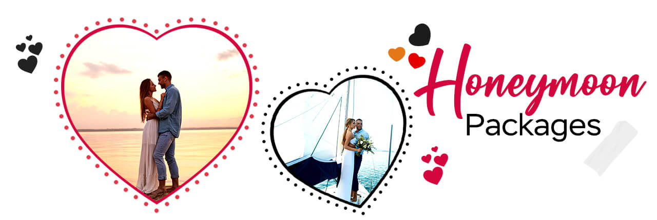 honeymoon packages superb travels moradabad india