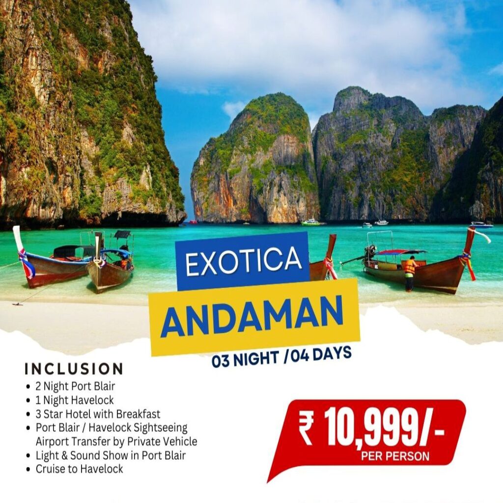 exotica andaman superb travels moradabad