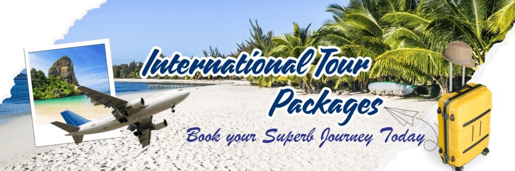 international tour packages superb travels moradabad